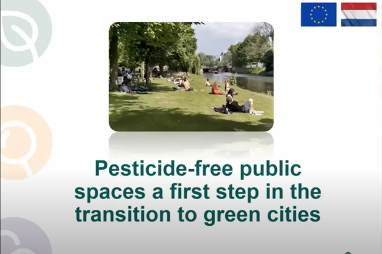 Pesticiden vrije steden: op weg naar ecologische transitie